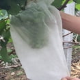 thumbnail image 4 of 100 Pcs Sacs de Protection pour Fruits et Légumes contre les Insectes, 4 of 8