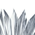 thumbnail image 2 of Vickerman Natural Botanicals 13.75 - 19.5" Metallic Silver Dried Palm Sun Spear, 12 per bag., 2 of 3