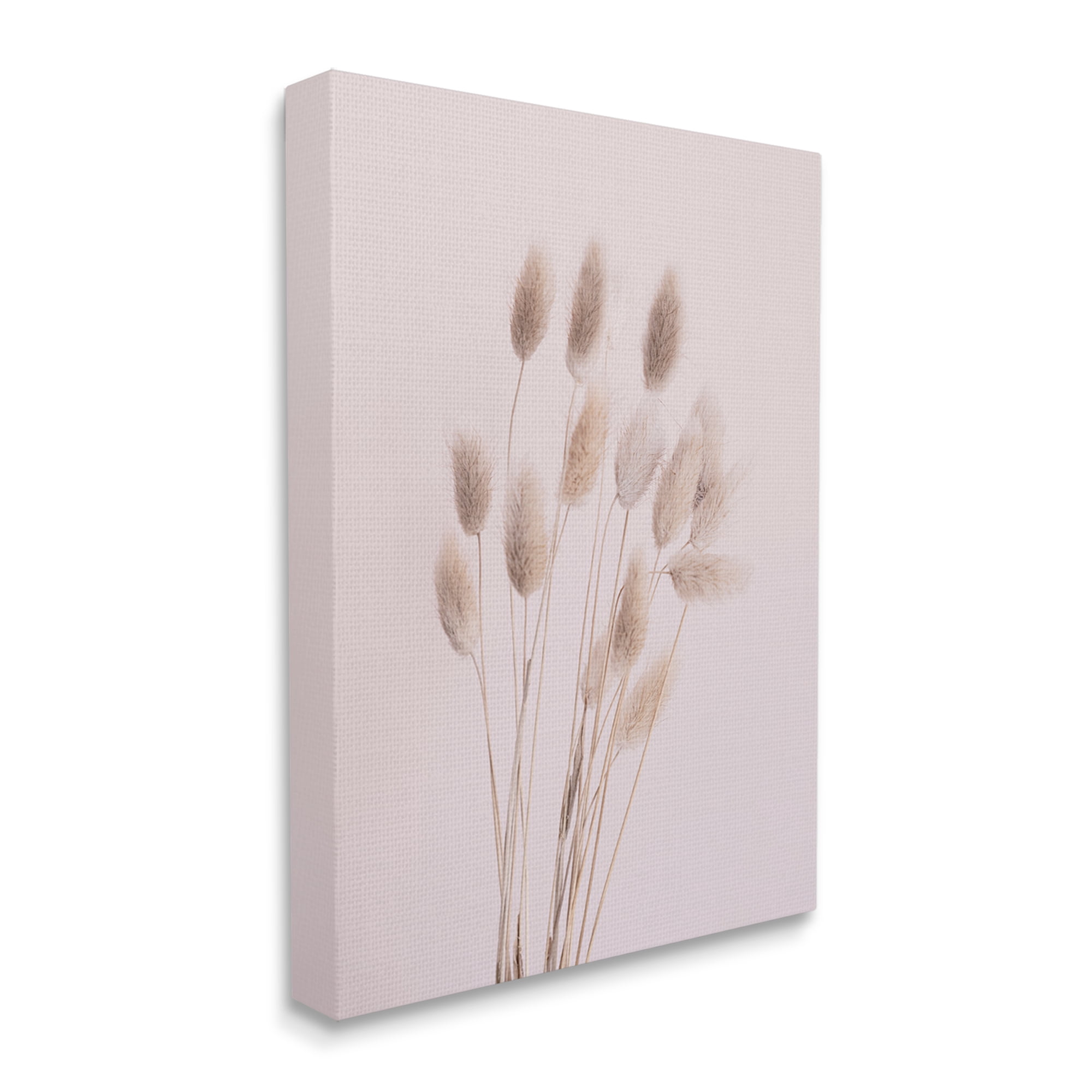 Stupell Industries Soft Pink Reed Sprigs Botanical & Floral Photography Gallery Wrapped Canvas Print Wall Art, 36 x 48