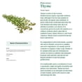 thumbnail image 3 of Natur Vital Happy Kids Preventive Shampoo 94% Natural Tea Tree 300 mL 10.1 fl.oz, 3 of 4