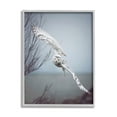 thumbnail image 5 of Stupell Industries Majestic Snowy Owl Flying Wingspan Wildlife Photography Photograph Gray Framed Art Print Wall Art, Design by Carrie Ann Grippo-Pike, 5 of 5