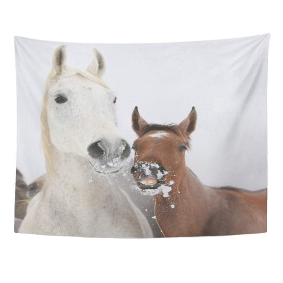 UFAEZU Brown Horse Mare with Foal Looking at You in Winter Snow Equine Pony Batch Wall Art Hanging Tapestry Home Decor for Living Room Bedroom Dorm 51x60 inch