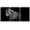 B35-2107-03-EVA033, variant on PixonSign Canvas Print Wall Art Set Pinhole Style Horse Portrait Animals Wildlife Photography Realism Rustic Closeup Relax/Calm Dark Black and White for Living Room, Bedroom, Office - 24"x36"x3