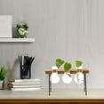 thumbnail image 5 of NICEXMAS 1Set Desktop Glass Vase with Wooden Stand Sturdy Hydroponic Plant Display Ornament, 5 of 5