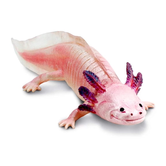 Safari Ltd. Axolotl Figurine - Realistic 7" Model Figure - Educational Toy for Boys, Girls, and Kids Ages 3 