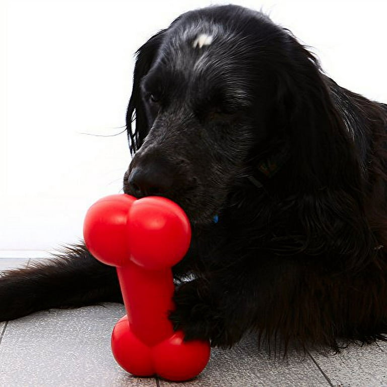 Kong Goodie Bone - Rubber Dog Toy - Dental Dog Toy for Teeth & Gum Health - Durable Dog Chew Toy - Hard Rubber Bone for Dogs - Fillable Toy for