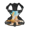thumbnail image 4 of Bingfone Beach Starfish Shell No Pull Dog Vest Harness For Small Medium Large Dogs Strap For Puppy Walking,Training,Dog Harness-Small, 4 of 9