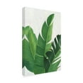 thumbnail image 2 of Trademark Fine Art 'Pura Vida II' Canvas Art by Grace Popp, 2 of 4