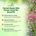 thumbnail image 3 of Outsidepride Partial Shade Wild Flower Seed Mix for All States - 1/4 lb. Premium Blend of Annual & Perennial Wildflowers, Perfect for Partial Shade Areas, & Outdoor Planting for Gardens & Lawns, 3 of 5