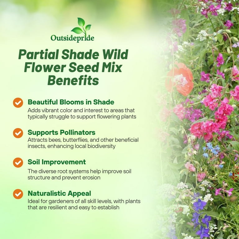Outsidepride Partial Shade Wild Flower Seed Mix - 5 LBS