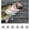 A, variant on Jinerra 6Pcs Sea Urchin Bait, Realistic Fuzzy Dice Fishing Lure for Bass & Perch, Floating TPR Swimbait with Reflective Stars, 6 Colors Artificial Worm Bait for Saltwater & Freshwater