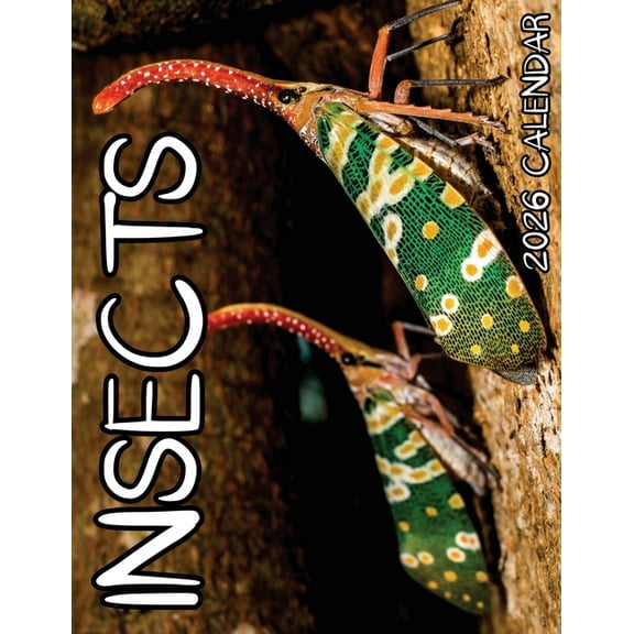 Insects 2026 Calendar, (Paperback)