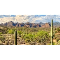 36X18IN, Reptile Habitat Background, Mountain Blue Sky Oasis Cactus Terrarium Background with 8 EVA Double-Sided Tape