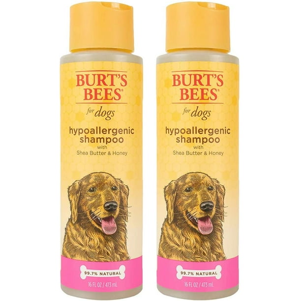 Burt's Bees for Dogs Hypoallergenic Dog Shampoo with Shea Butter & Honey for Dogs with Dry or