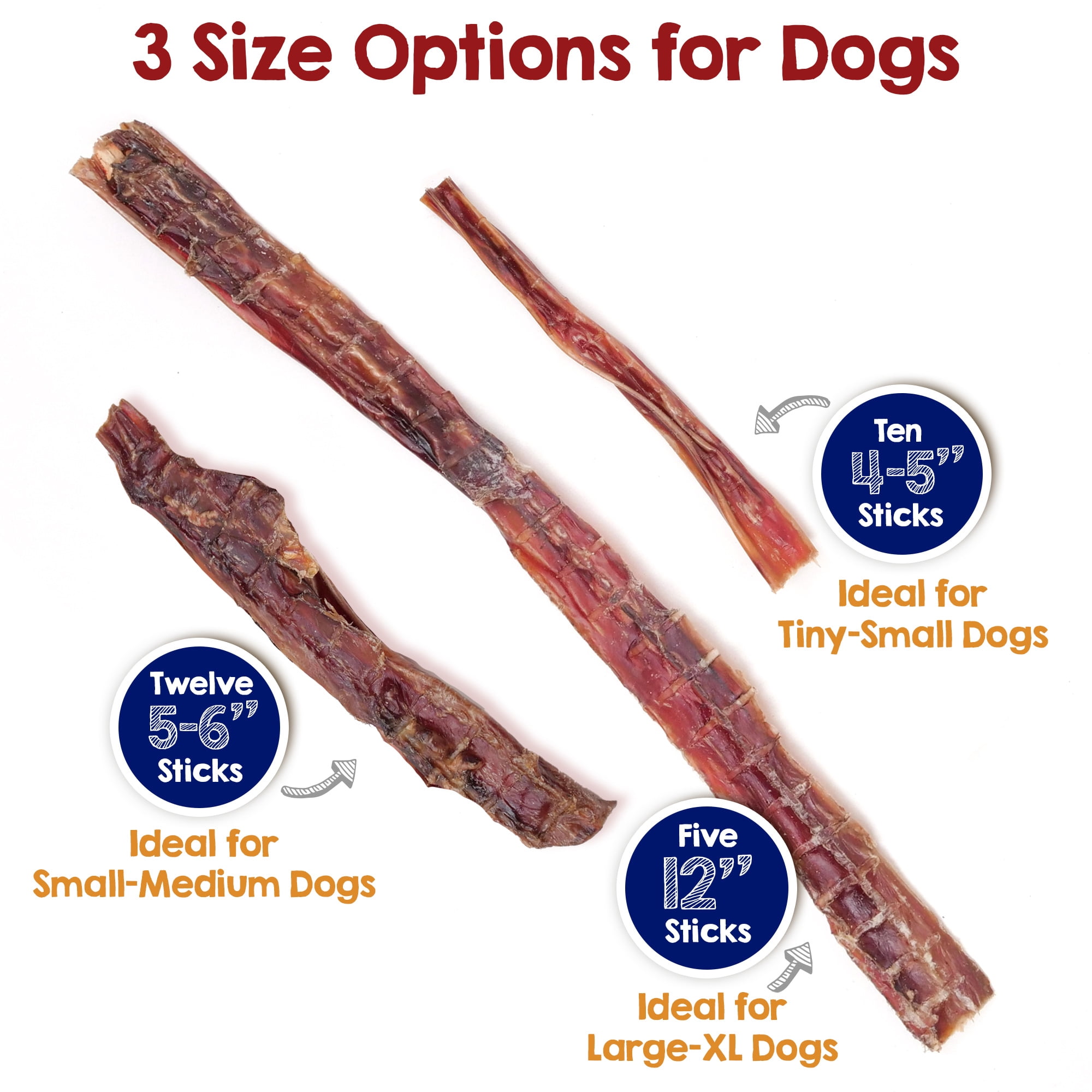 Riley's Steer Bully Sticks for Tiny to Small Dogs - Odor Free Bully Sticks for Small Dogs - Single Ingredient Dog Treat - Gluten-Free, 100% Beef Pizzle Sticks for Dogs - 4-6", 10ct
