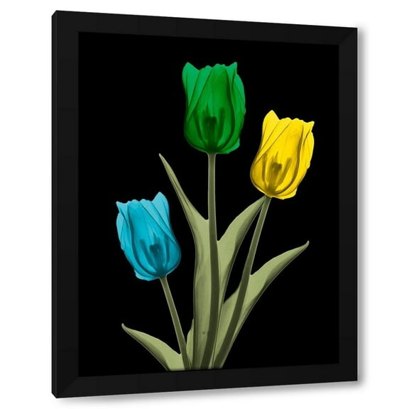 Albert Koetsier 12x14 Black Modern Wood Framed Wall Art Titled - Jeweled Tulip Trio 4