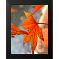 thumbnail image 2 of Grayscale 19x24 Black Modern Framed Museum Art Print Titled - Japanese Maple II, 2 of 5