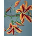 thumbnail image 2 of Kazumasa, Ogawa 26x32 White Modern Wood Framed Museum Art Print Titled - Lily III, 2 of 4