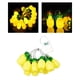 thumbnail image 5 of Luces de hadas LED Colco Decoraciones de farol de jardín temática de playa tropical 20 piezas 3 metros luces de piña, 5 of 8