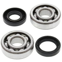 All Balls Crank Bearing and Seal Kit 24-1063 for Yamaha DT100 74-83