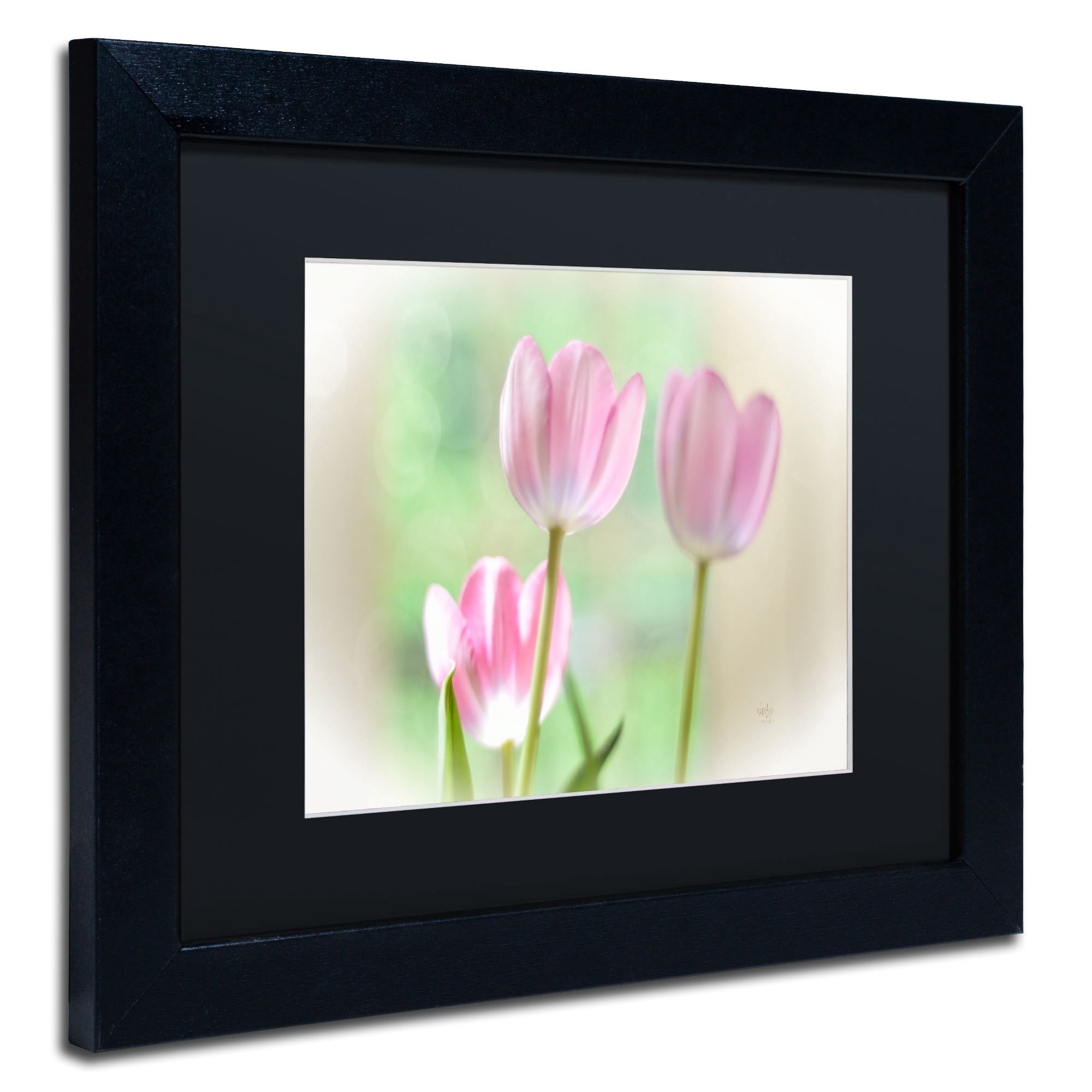 Trademark Fine Art "Three Pink Tulips" Canvas Art by Lois Bryan, Black Matte, Black Frame