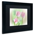 thumbnail image 3 of Trademark Fine Art "Three Pink Tulips" Canvas Art by Lois Bryan, Black Matte, Black Frame, 3 of 5