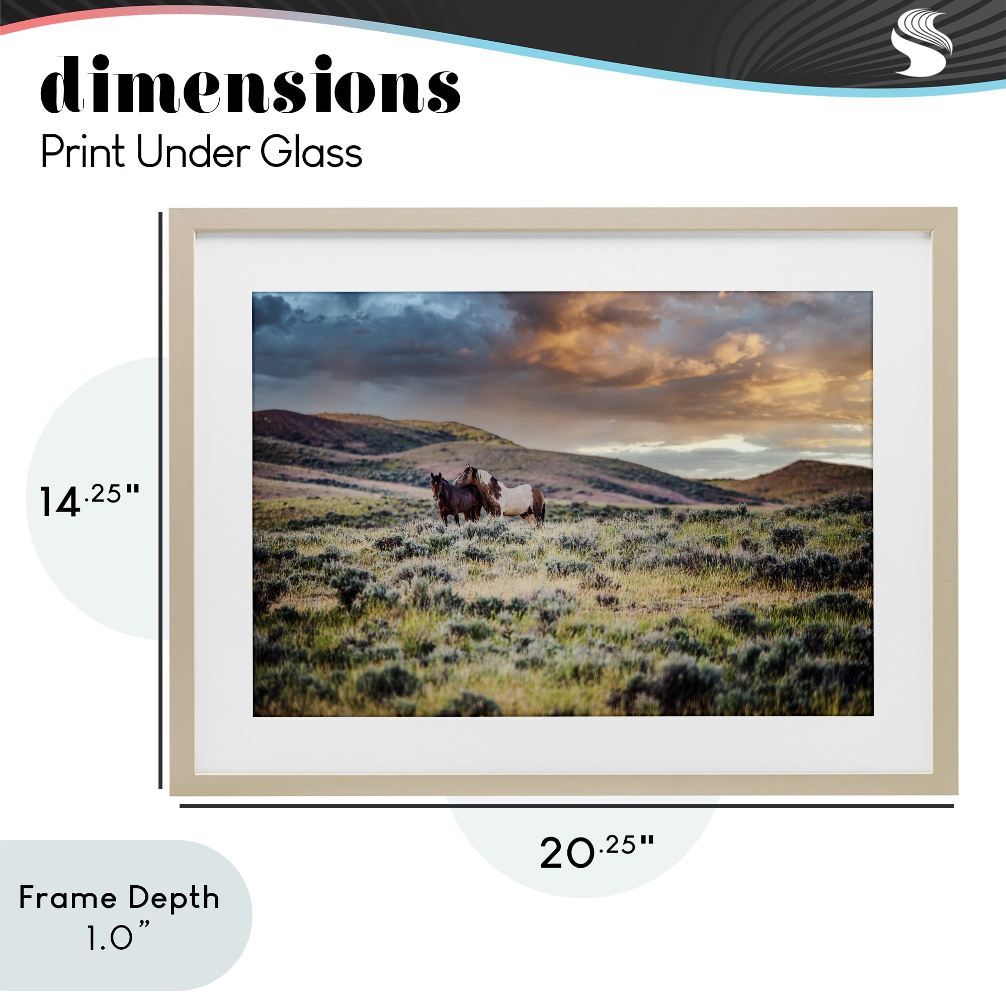 Stupell Industries Stay Close Horses Birch Framed Print Under Glass, design by Tim West