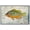 WHITE, variant on wall26 Framed Canvas Print Wall Art Orange Sunfish on Granite Background Marine Life Animals Digital Art Realism Nautical Scenic Colorful Ultra for Living Room, Bedroom, Office - 16"x24" Na