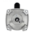 thumbnail image 3 of Regal Beloit SQ1302V1 Century 3.0 HP 3450 RPM Stainless Steel Pool Pump Motor, 3 of 3