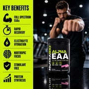 NutraBio Alpha EAA - All-Day Aminos - Recovery, Energy, Focus, and Hydration Supplement - Full Spectrum EAA BCAA Matrix, Electrolytes, Nootropics, Coconut Water - 30 Servings - Dragon Fruit