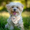 thumbnail image 2 of Dog Bandana 1 Pack,Pastel Fairy Rainbow Pattern Bandanas for Dogs,Cat Bandana,Small/ Large Dog Bandana 2 Size,Dog Bandanas, 2 of 6