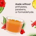 thumbnail image 2 of Glade® Chandelle parfumée, Brise exotique, 2 of 8