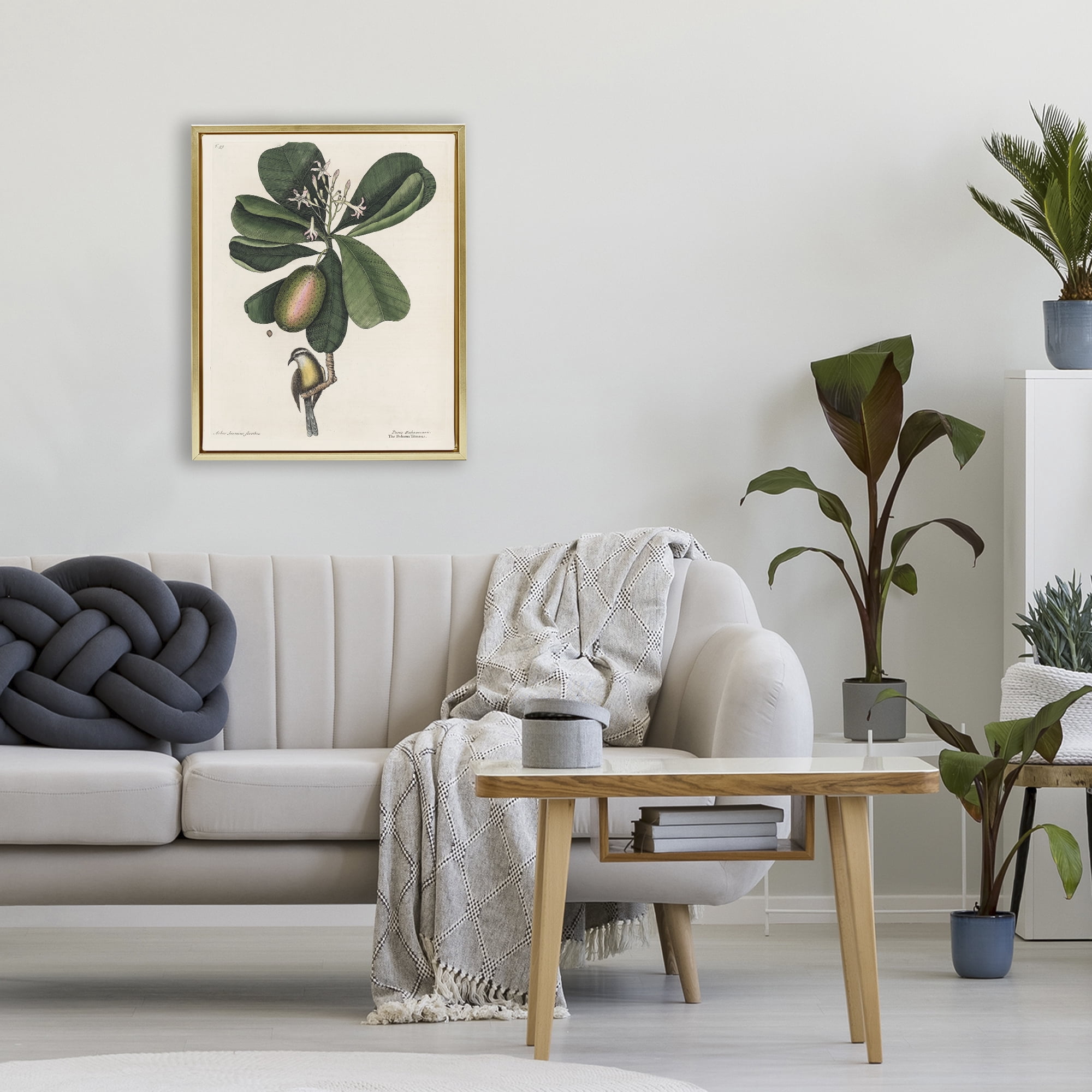 Stupell Industries Catesby Flora & Fauna Gold Framed Floater Canvas Wall Art, design by Print Collection