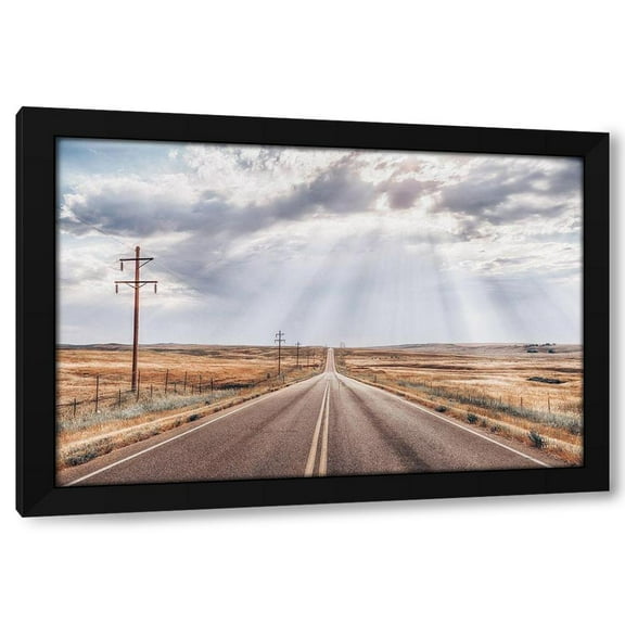 Nathan Larson 14x11 Black Modern Wood Framed Wall Art Titled - Montana Skies