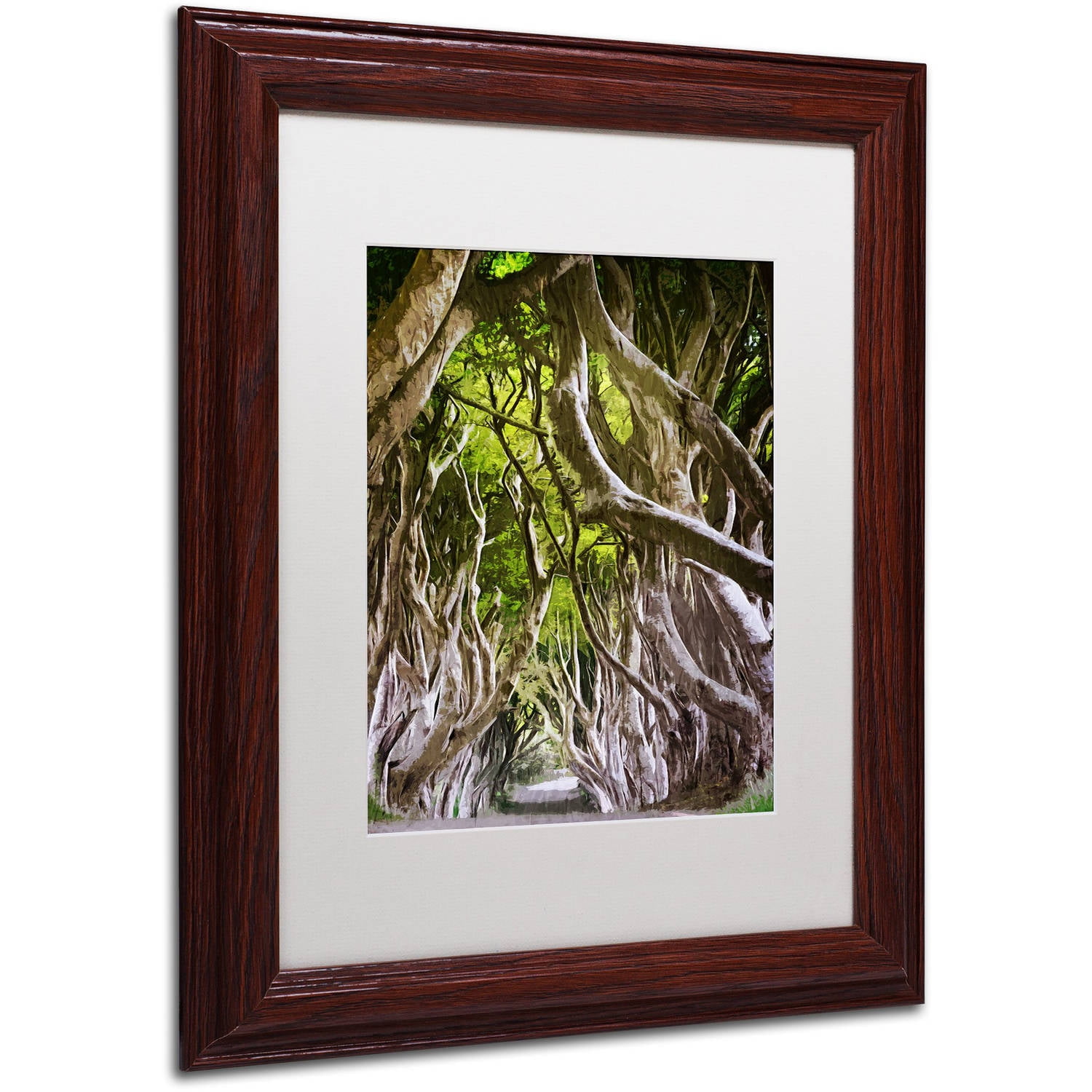 Trademark Fine Art "King of the Woods" Canvas Art by Philippe Sainte-Laudy, White Matte, Wood Frame