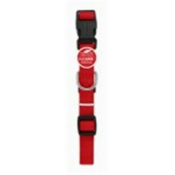 Westminster Pet Products 223994 1 x 26 in. Pet Expert Dog Collar, Red