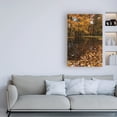 thumbnail image 3 of Trademark Fine Art 'Autumn picnic flooded' Canvas Art by Kurt Shaffer Photographs, 3 of 3