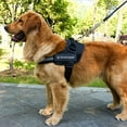 thumbnail image 5 of Scmkd Large Dog Harness with Padded Handle for Easy Control - No Pull Pet Harness, 5 of 19
