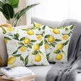 thumbnail image 2 of Summer Lemon Outdoor Pillow Covers Pack of 2 Leaf Yellow Fruit Countryside Watercolor Flower Waterproof Throw Pillow Covers Decorative Cushion Cases for Patio Garden Tent Balcony Couch 26x26 inch, 2 of 8