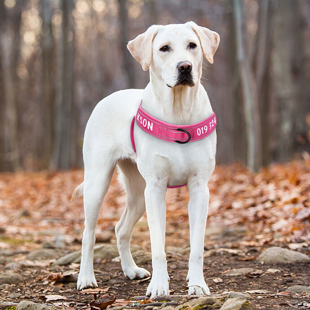 Pet Artist No Pull Dog Harness for Medium Large Dogs Reflective Personalized Name ID Strap Vest Front Leading