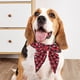 thumbnail image 5 of Festive Pet Dog Collar with Bells and Bows, Christmas Holiday Winter Party Decoration for Small Medium Dogs, Cute Soft Knitted Neckwear for Puppy Cat Photo Props, 5 of 6