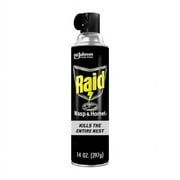 Raid Wasp & Hornet Killer Spray 14 oz