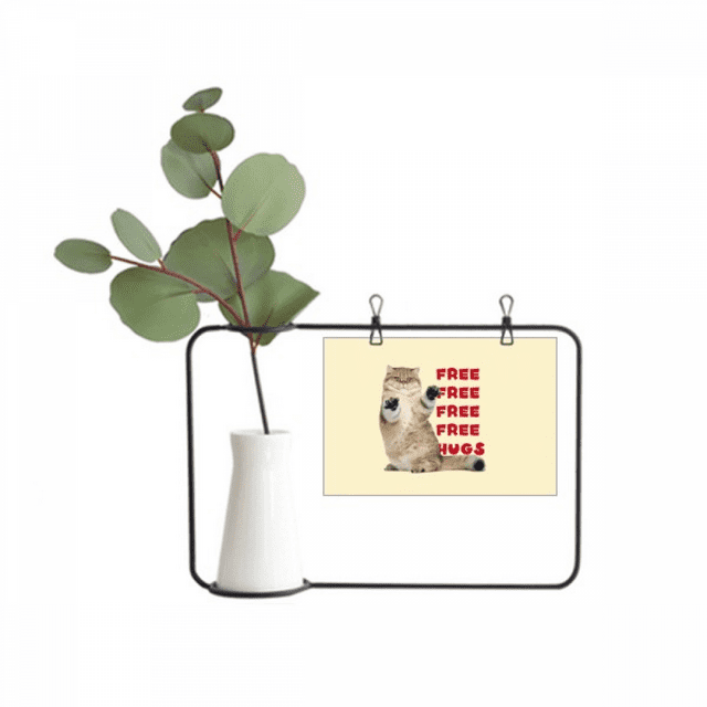 Cadre Photo en Métal avec Accoudoirs pour Chat, Vase Décoratif Cerac