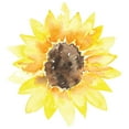 thumbnail image 3 of CafePress - Cute Yellow Sunflower T Shirt - Light T-Shirt - CP, 3 of 4