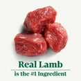 thumbnail image 4 of Nutro Natural Choice Adult Large Breed Dry Dog Food, Lamb And Brown Rice Recipe, 30 Lbs., 4 of 13