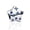 Blue Diamond Star, variant on 925 Sterlinig Silver Ladybug Lucky Clover Dangle Charm for Women Bracelet Necklace Pendant