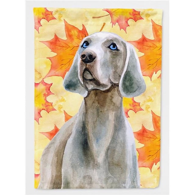 Carolines Treasures BB9935GF Weimaraner Drapeau d'Automne - Taille du Jardin