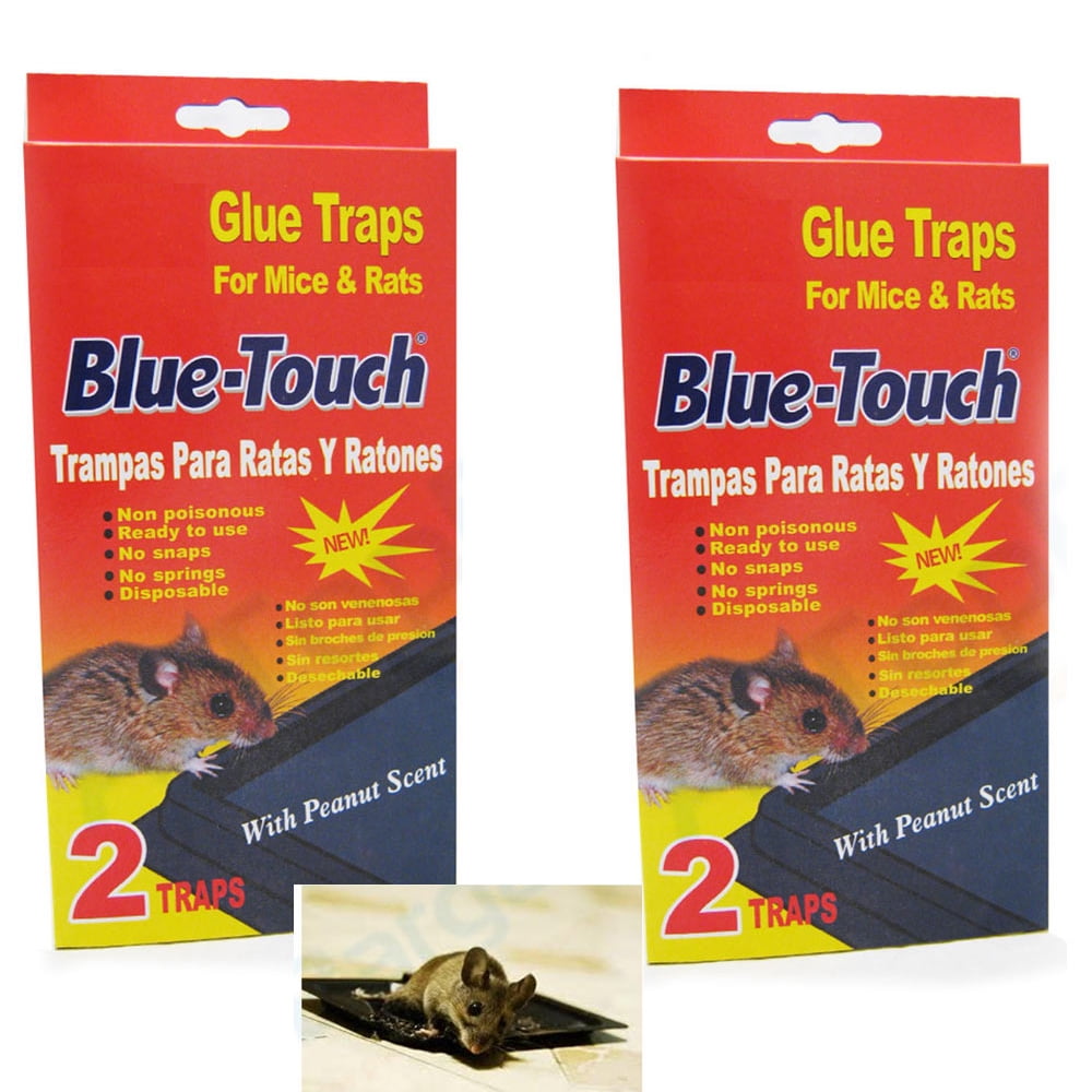 8 Large Sticky Glue Rat Mice Mouse Traps Bait No Poison Rodent 4 Boxes for sale online 