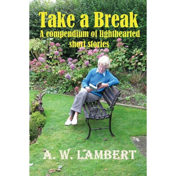 Take a Break (Paperback)