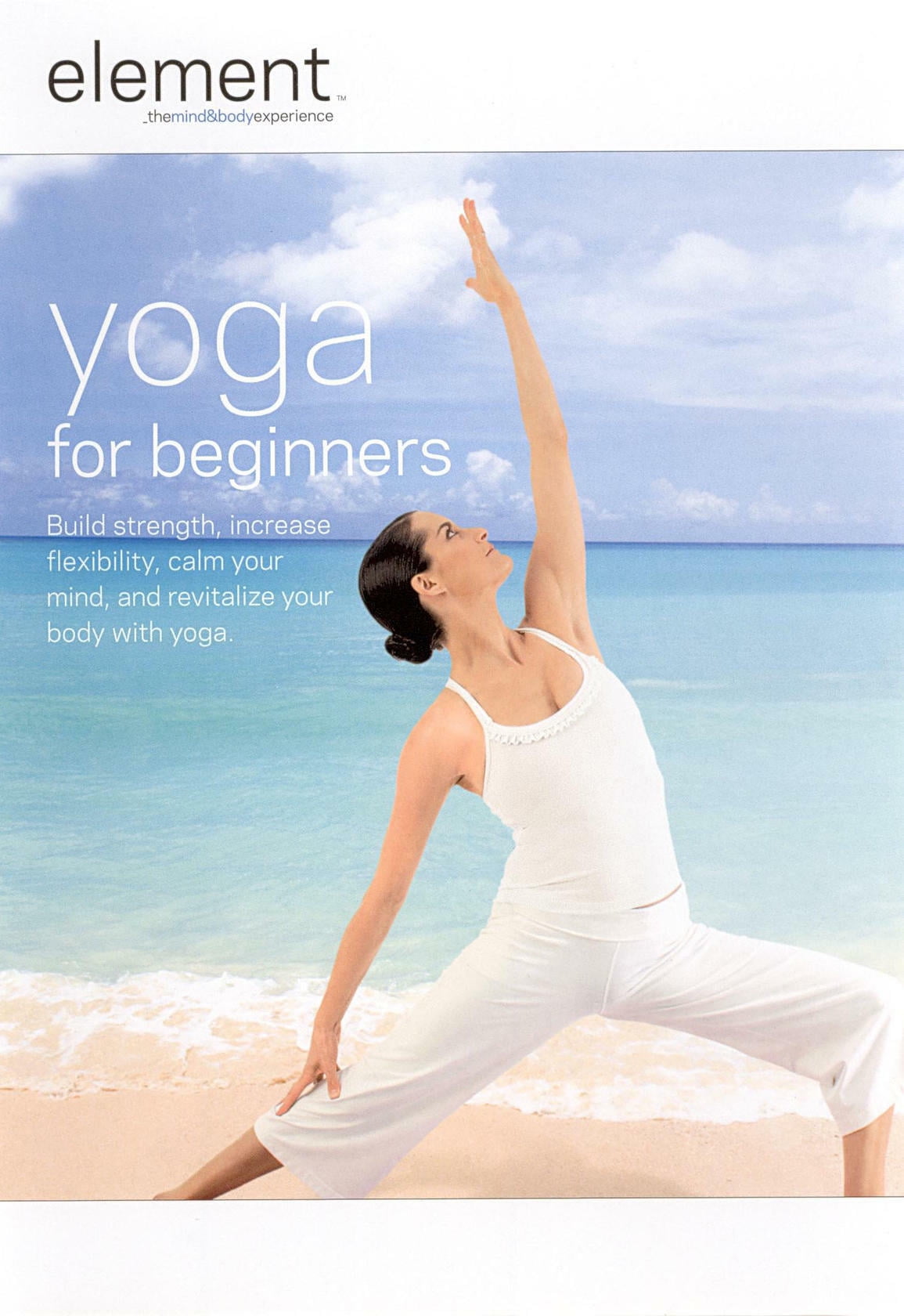 その他 Sura Flow Yoga: Yoga Energy Healing &amp; Life Skills [DVD] [Import] Sura Flow Yoga: Yoga Energy Healing & Life Skills [DVD] (shin